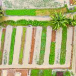 Urban Farming - Aerial View of Farm Landscape