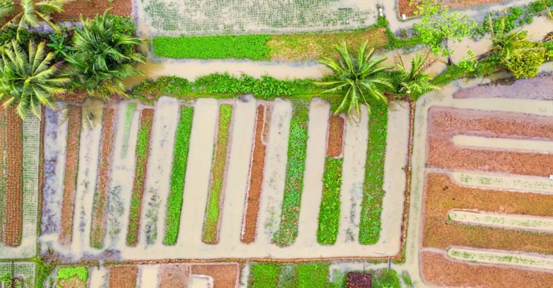 Urban Farming - Aerial View of Farm Landscape